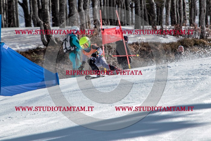 MAT_7478.jpg