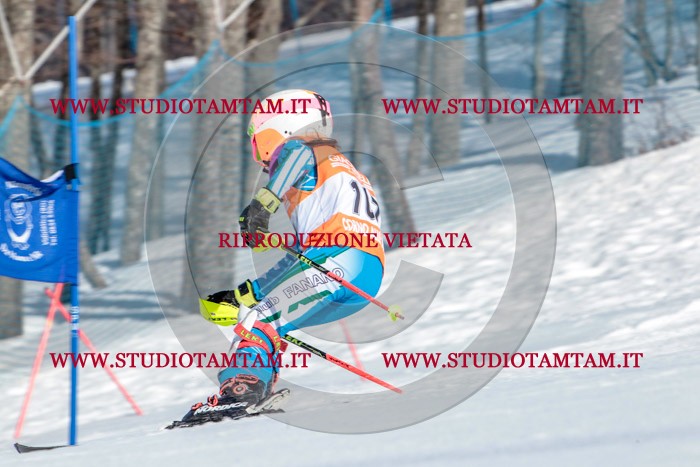 MAT_7565.jpg