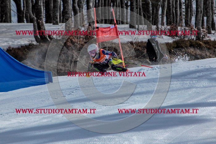 MAT_7580.jpg