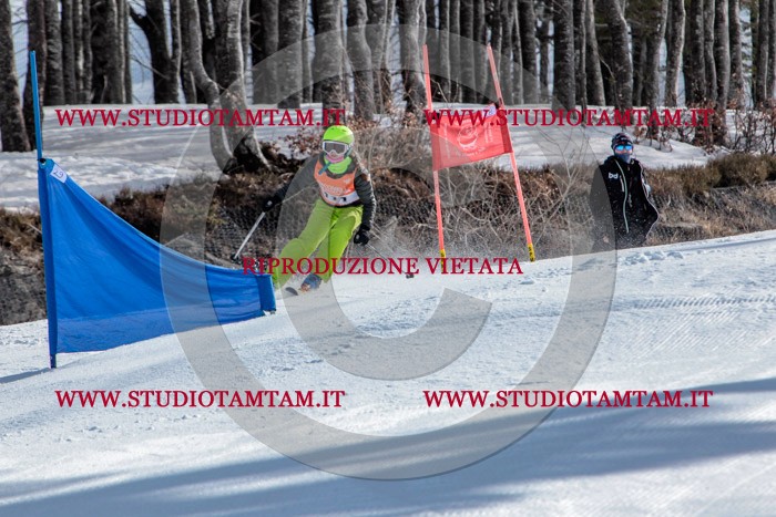 MAT_7602.jpg