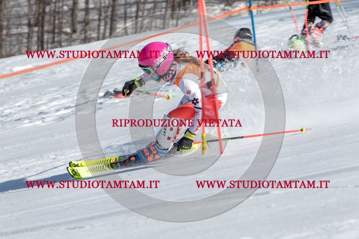 MAT_7718.jpg