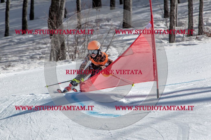 MAT_7724.jpg