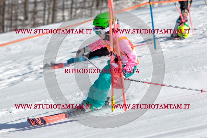 MAT_7742.jpg