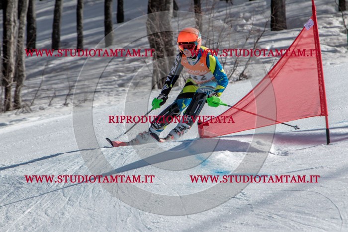 MAT_7808.jpg
