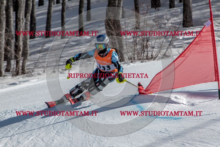 MAT_7822.jpg