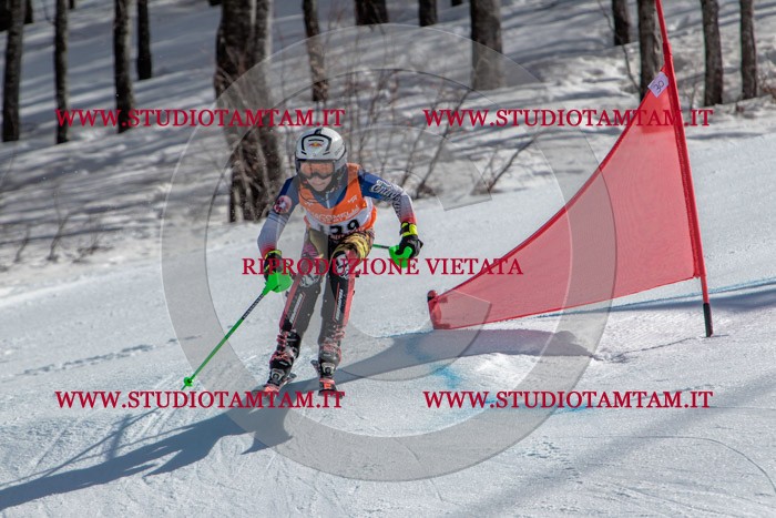 MAT_7894.jpg