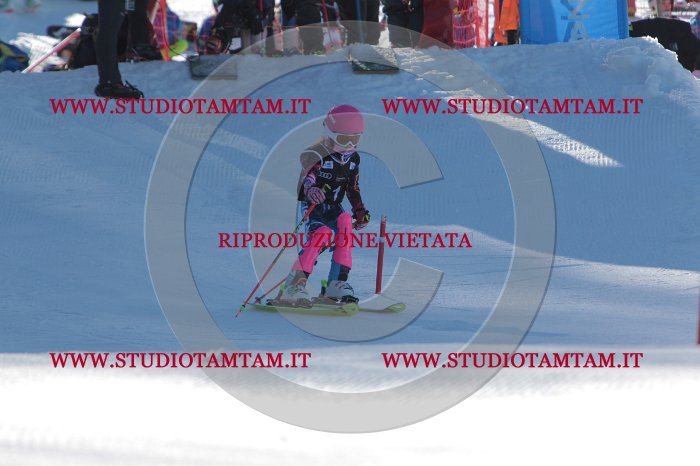 MAT_7938.JPG