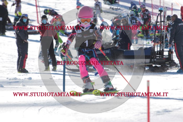 MAT_7944.JPG