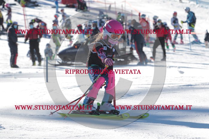 MAT_7947.JPG