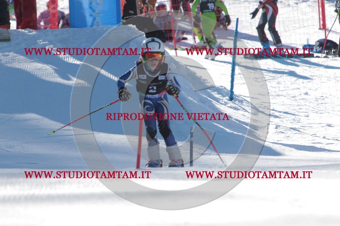 MAT_7956.JPG