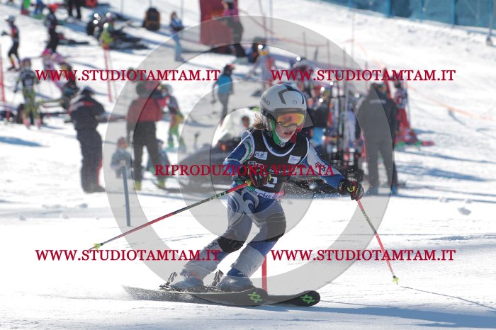 MAT_7964.JPG