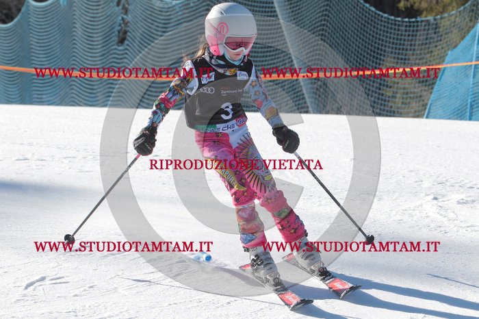 MAT_7982.JPG