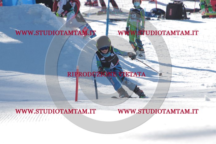 MAT_7986.JPG