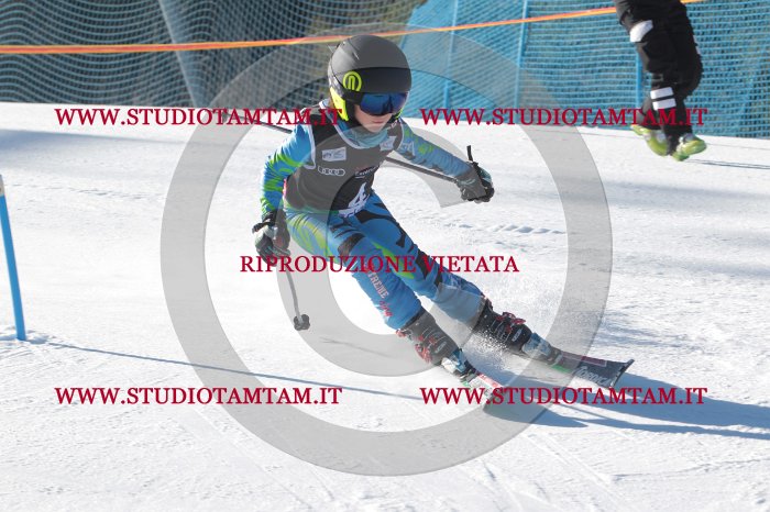 MAT_7998.JPG