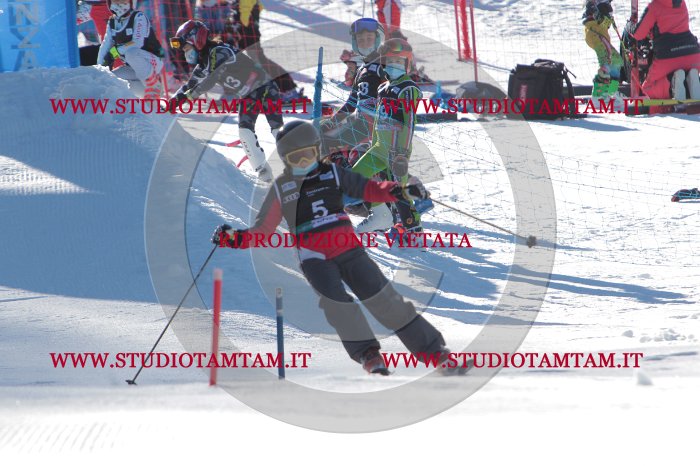 MAT_8003.JPG
