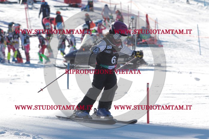 MAT_8027.JPG