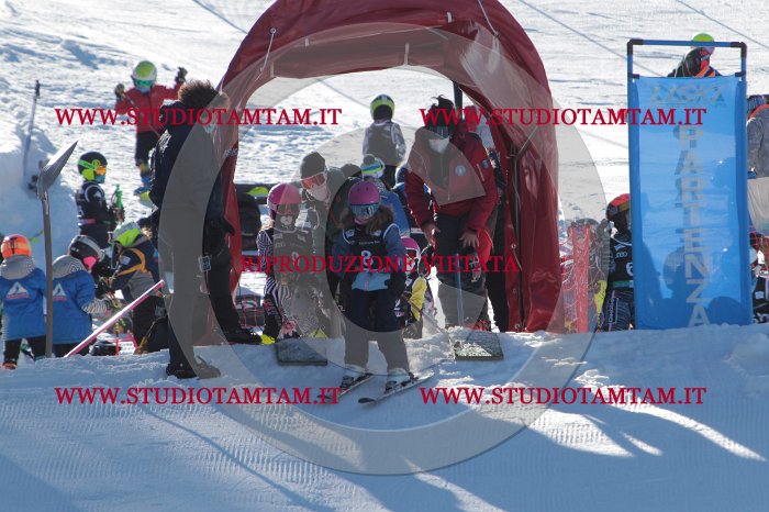 MAT_8051.JPG