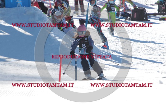 MAT_8054.JPG