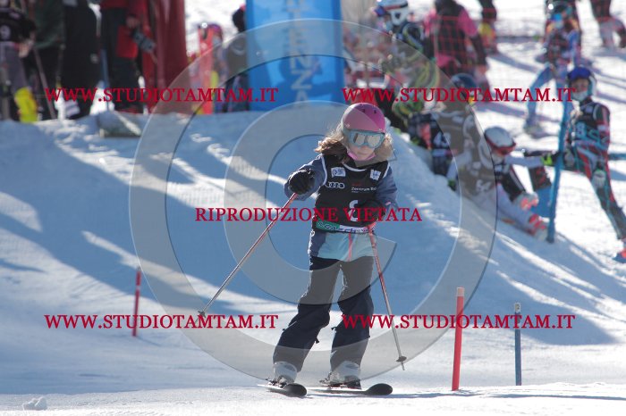 MAT_8056.JPG