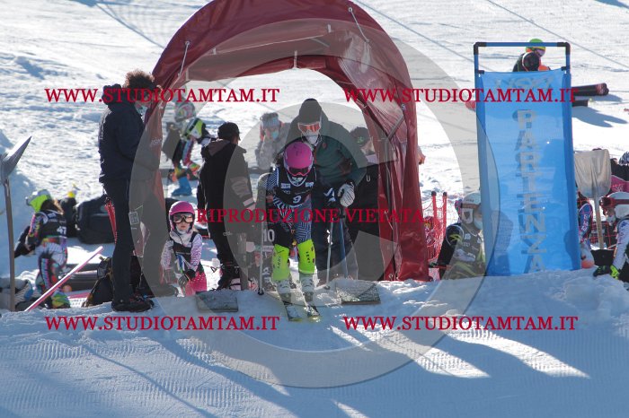 MAT_8065.JPG