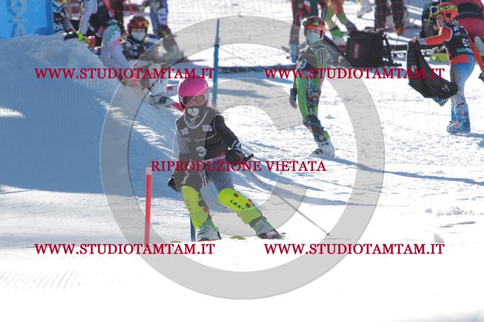 MAT_8069.JPG
