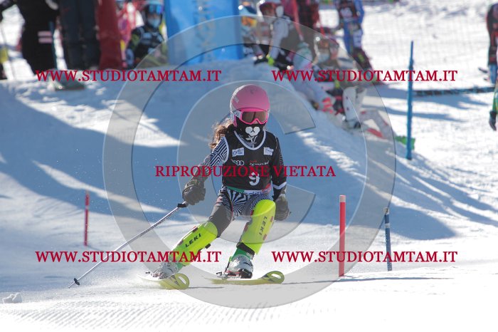 MAT_8071.JPG