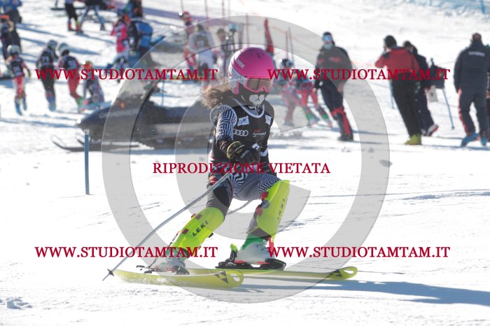 MAT_8077.JPG