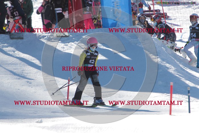 MAT_8112.JPG