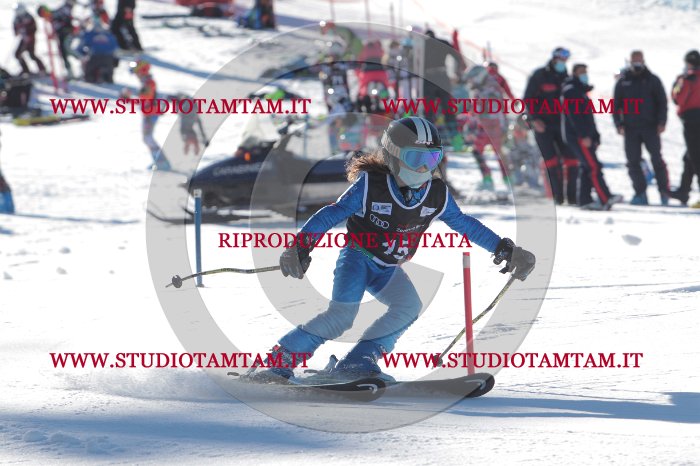 MAT_8159.JPG