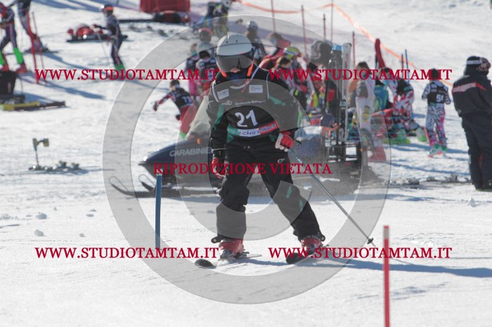 MAT_8245.JPG