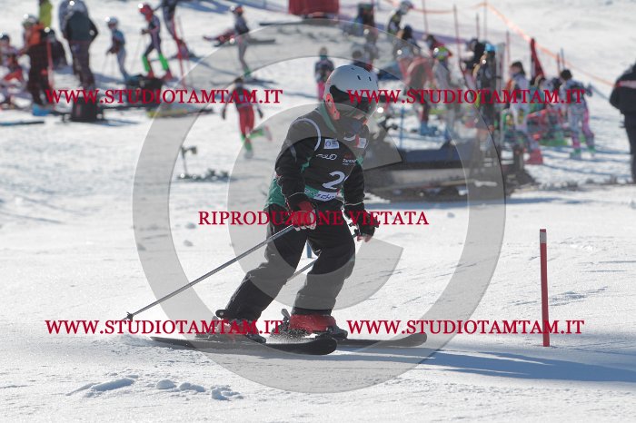 MAT_8246.JPG