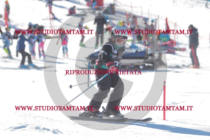 MAT_8296.JPG