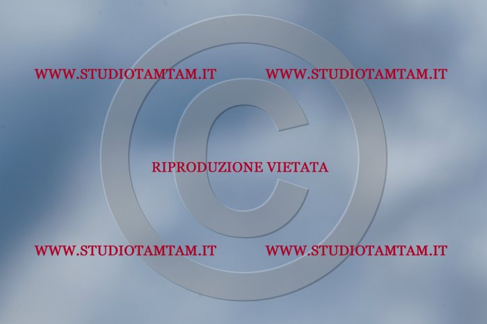 MAT_8299.JPG