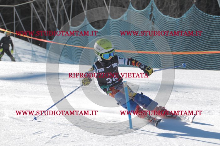 MAT_8328.JPG