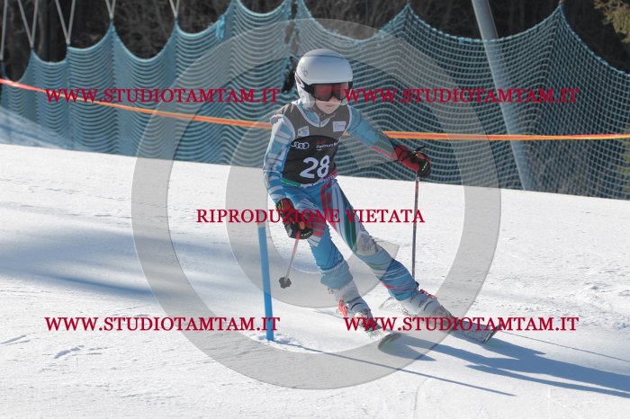 MAT_8364.JPG