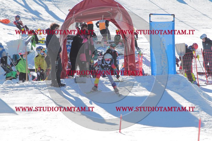 MAT_8414.JPG