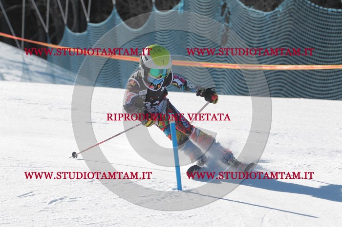 MAT_8438.JPG