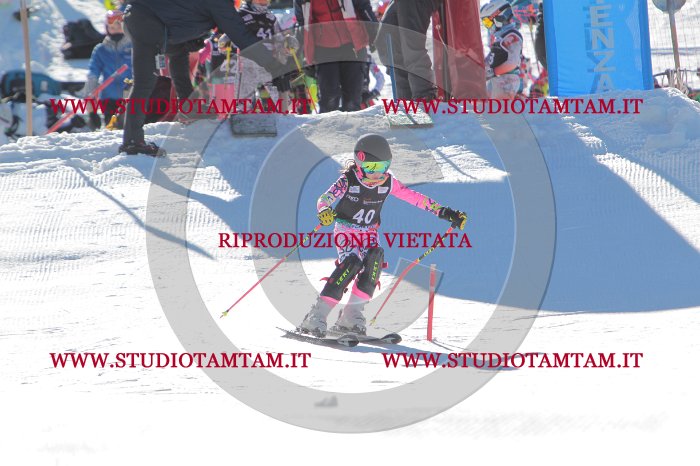 MAT_8534.JPG