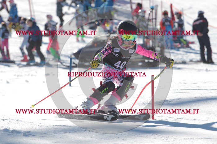 MAT_8542.JPG