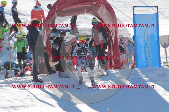 MAT_8548.JPG