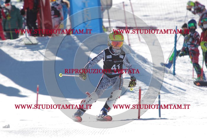 MAT_8552.JPG