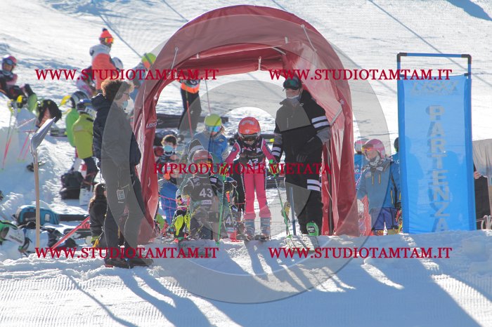 MAT_8560.JPG