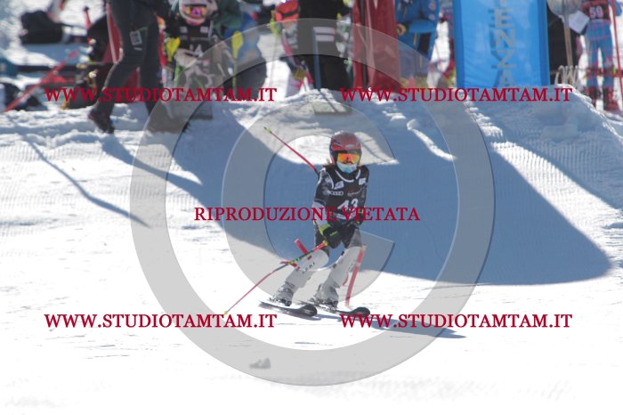 MAT_8573.JPG