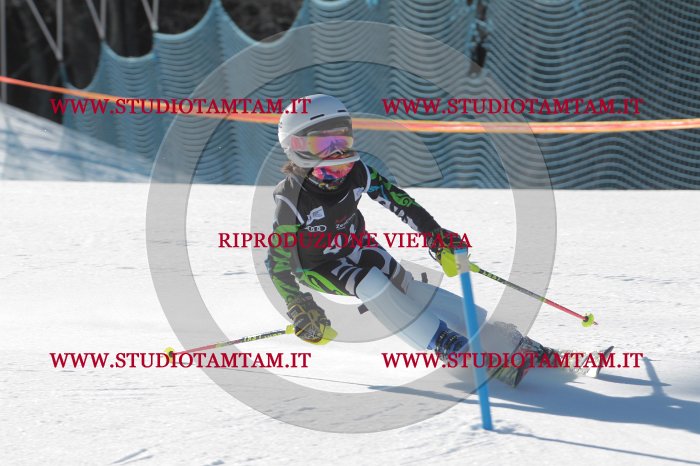 MAT_8599.JPG