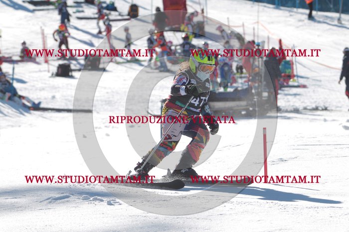 MAT_8645.JPG
