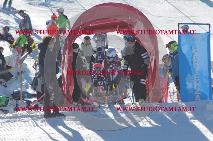 MAT_8649.JPG