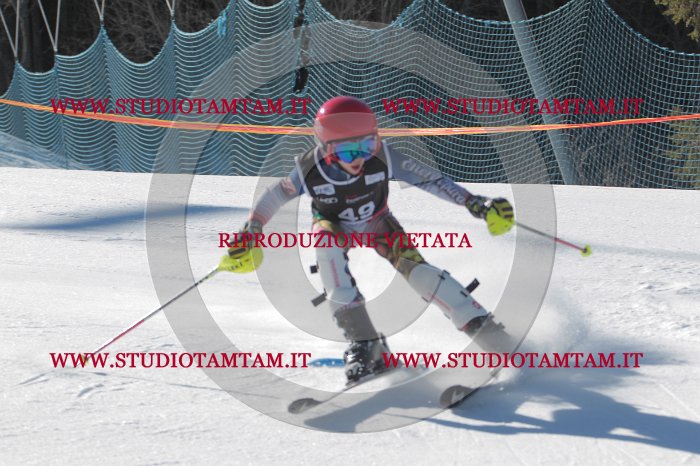MAT_8676.JPG