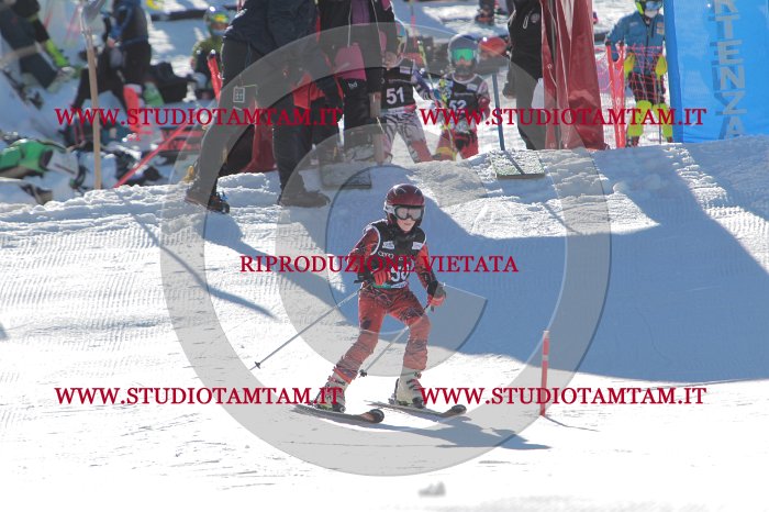 MAT_8679.JPG
