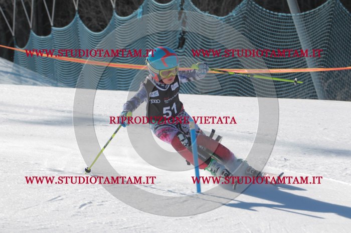 MAT_8704.JPG