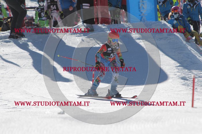 MAT_8728.JPG